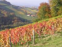 01/2013: Vorankündigung Fachexkursion Südsteiermark und Graz-